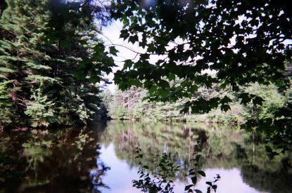 Upper Roberts Meadow Reservoir